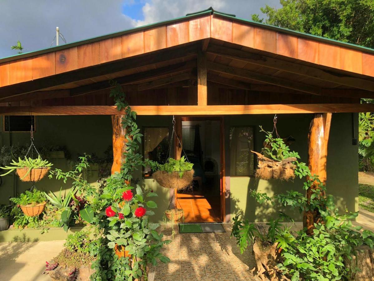 Casa Haydee Monteverde Bagian luar foto