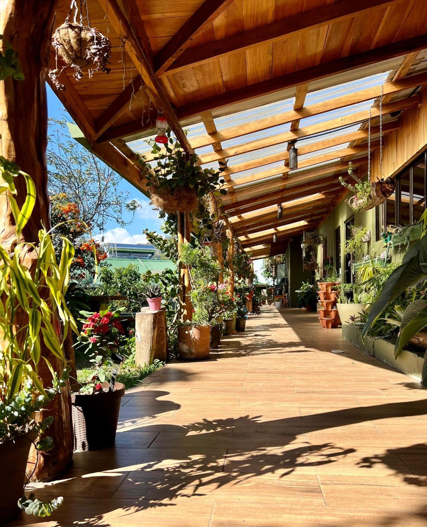 Casa Haydee Monteverde Bagian luar foto